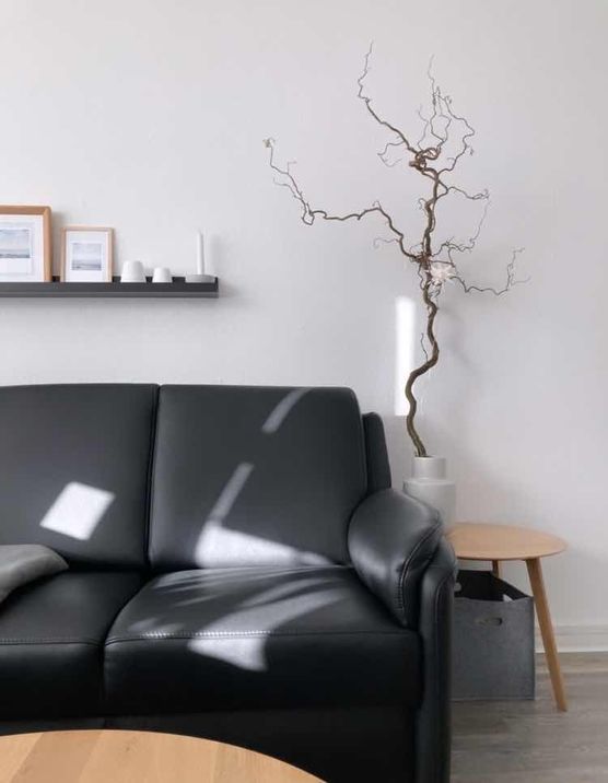 Bild von Zauberblüte Bild von Zauberblüte