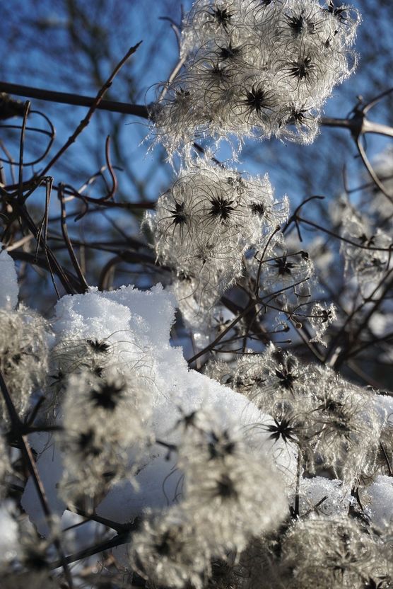 Heute ist ein guter Heute ist ein guter