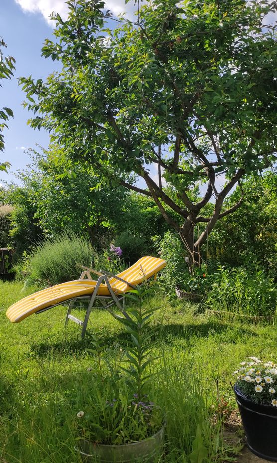 Anti-Design-Liegestuhl... oder die unliebsamen Anti-Design-Liegestuhl... oder die unliebsamen