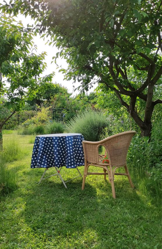 Gartenzeit☀️ Gartenzeit☀️