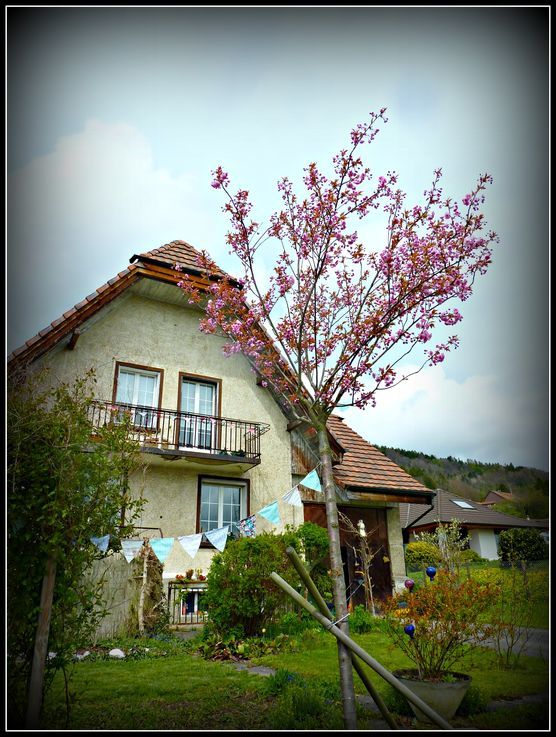 Villa Kunterbunt Villa Kunterbunt