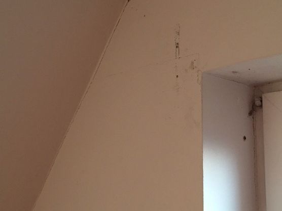 Auch hier gibt es Auch hier gibt es