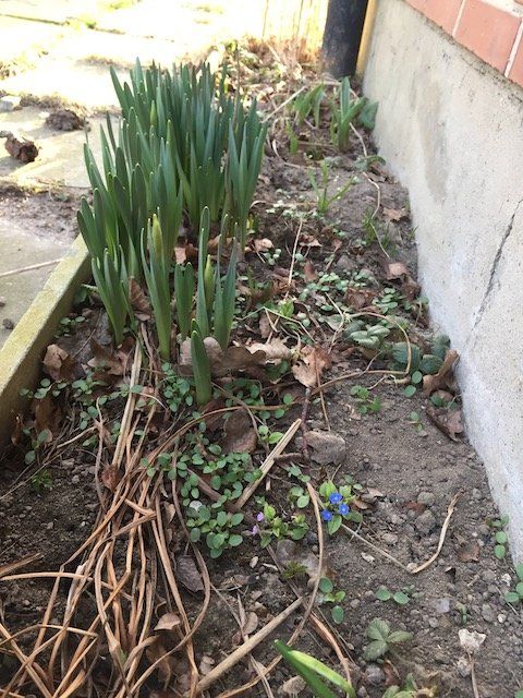 Aber wenn das erste Aber wenn das erste