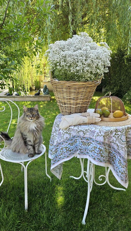 Bild von brocante-charmante Bild von brocante-charmante