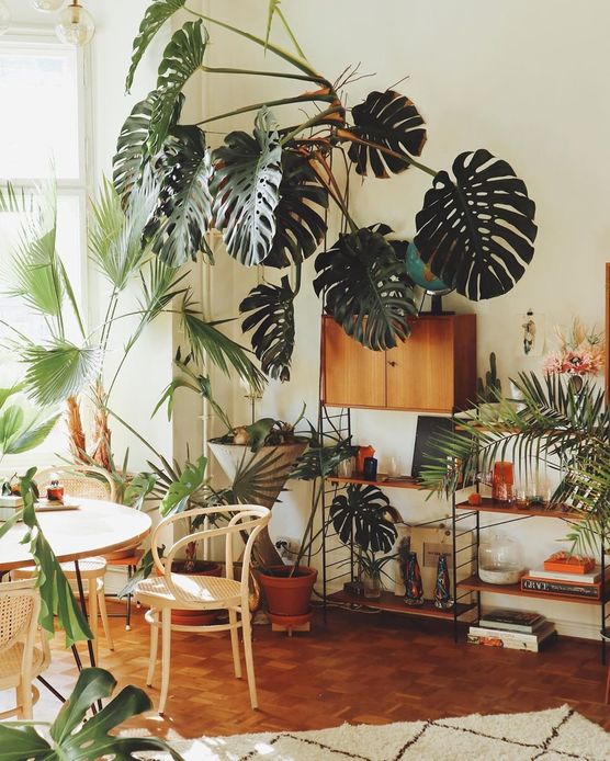 Ich hoffe, ihr genießt Ich hoffe, ihr genießt