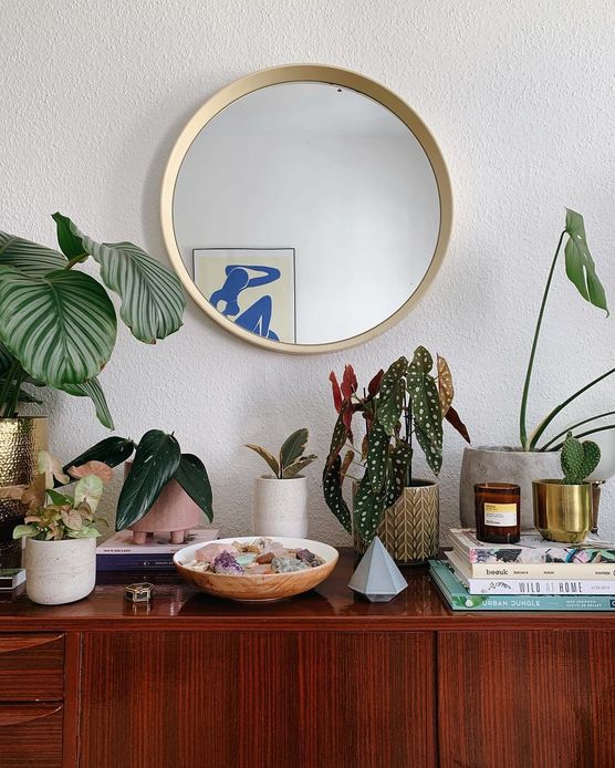 Seht ihr die Monsteras? Seht ihr die Monsteras?