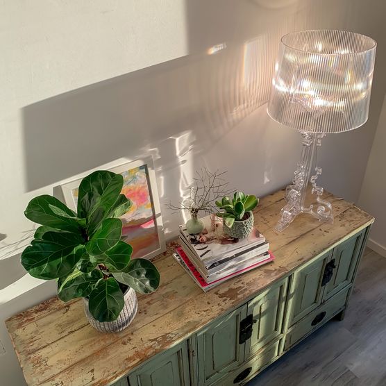 Lichtspiele am Abend. Lichtspiele am Abend.