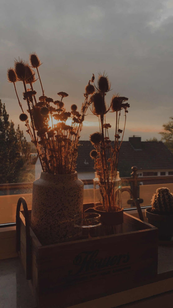 Bild von liebundteuer Bild von liebundteuer