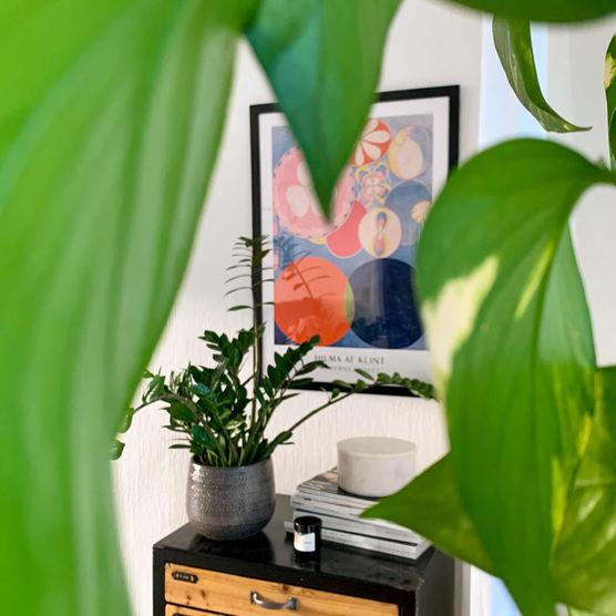 Bild von liebundteuer Bild von liebundteuer