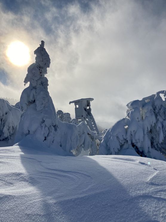 Bild von Anni76 Bild von Anni76