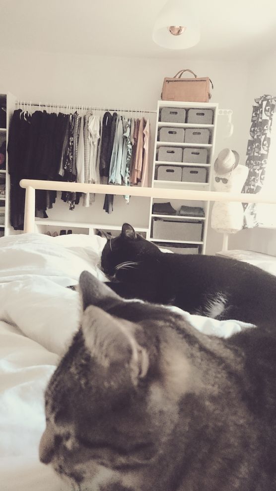 katzenliebe
hier liegen wir an katzenliebe
hier liegen wir an