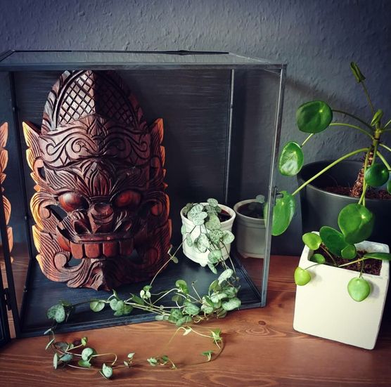 Urlaubsmitbringsel in Szene zu Urlaubsmitbringsel in Szene zu