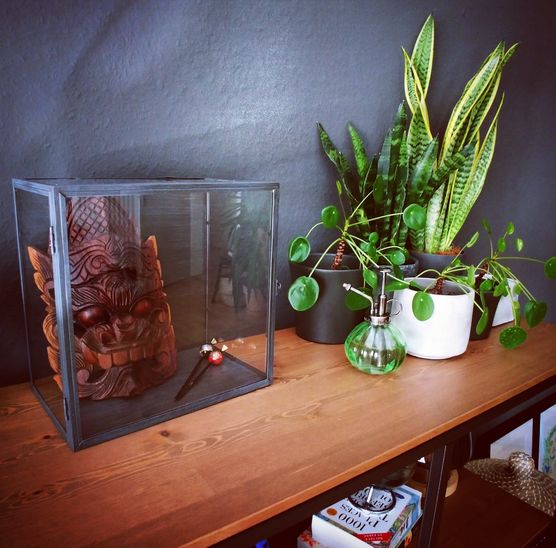 Neue Wandfarbe, neues Regal Neue Wandfarbe, neues Regal