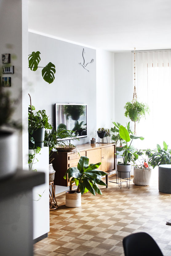 Nix als Regen. Wie Nix als Regen. Wie