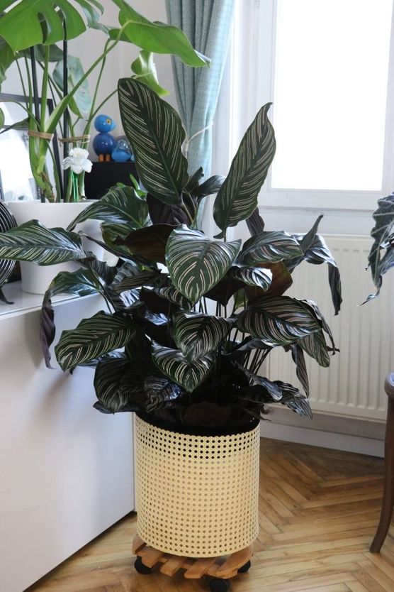 Bild von DO-ITeria Bild von DO-ITeria