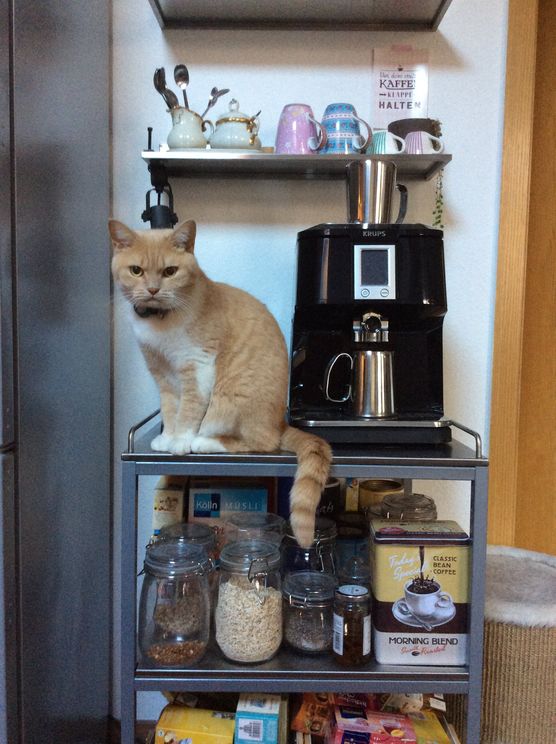 Eddie gehört wohl auch Eddie gehört wohl auch