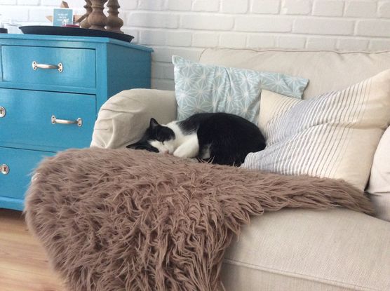 Herbstblues.... 🍂🍃😿🍃🍂 Herbstblues.... 🍂🍃😿🍃🍂