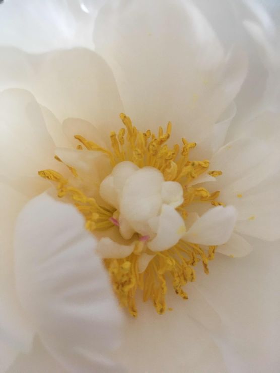 Bild von MariamHa Bild von MariamHa