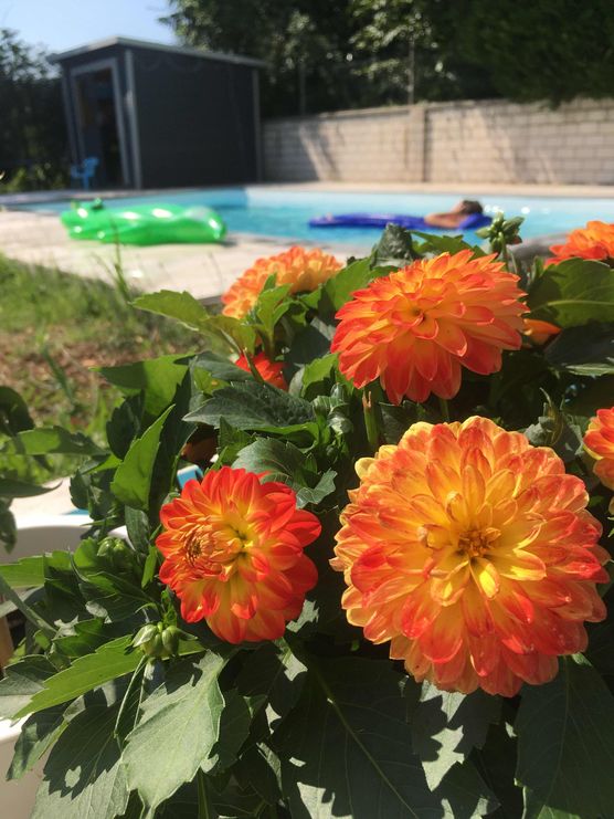 Bild von MariamHa Bild von MariamHa