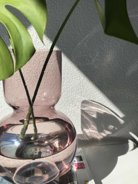 Bild von lulufluorine Bild von lulufluorine