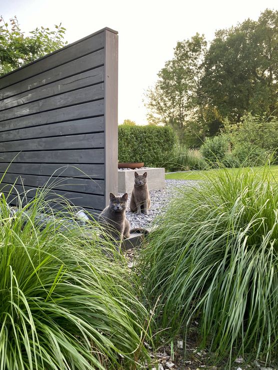 Da sind wir wieder… Da sind wir wieder…