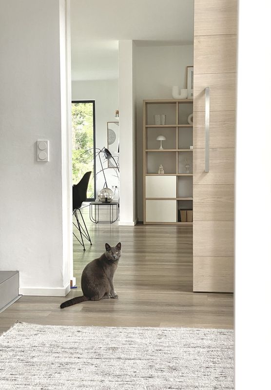 Blick aus dem Homeoffice… Blick aus dem Homeoffice…