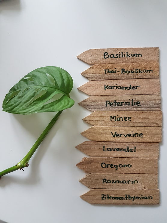 Hier entsteht ein Kräutergarten... Hier entsteht ein Kräutergarten...