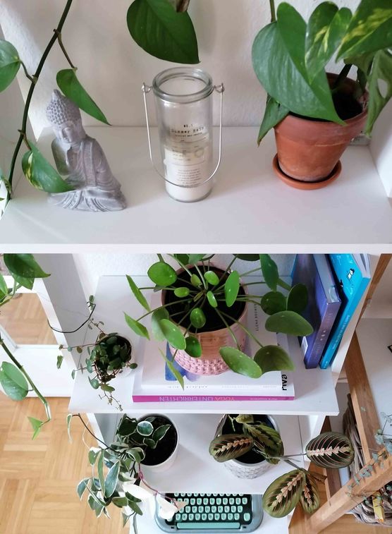 Bild von annafliegt Bild von annafliegt