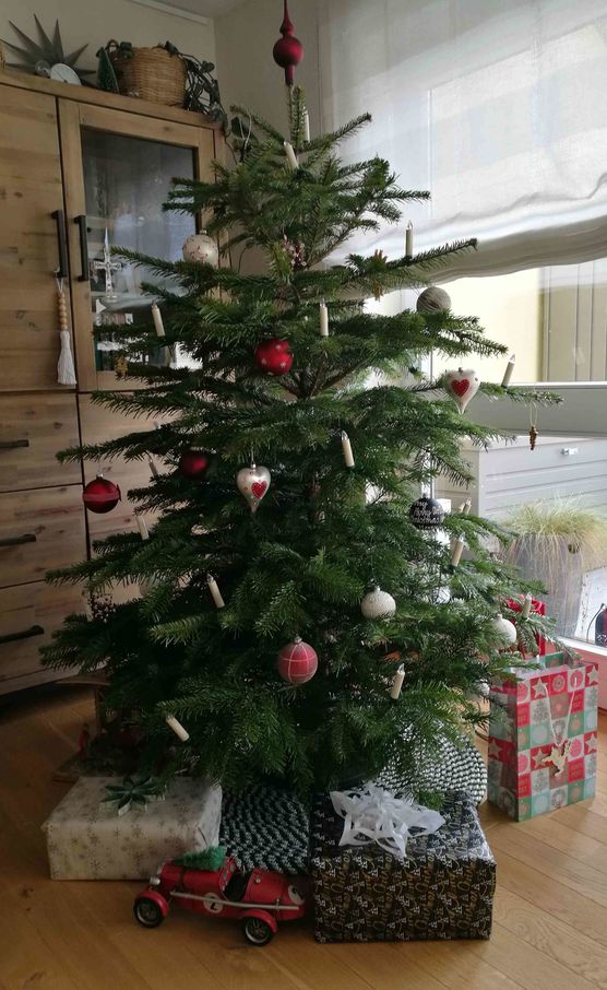 Bild von Karinasparadies Bild von Karinasparadies