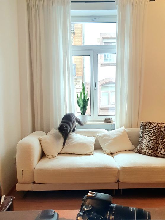 Die gute Gesellschaft ist Die gute Gesellschaft ist