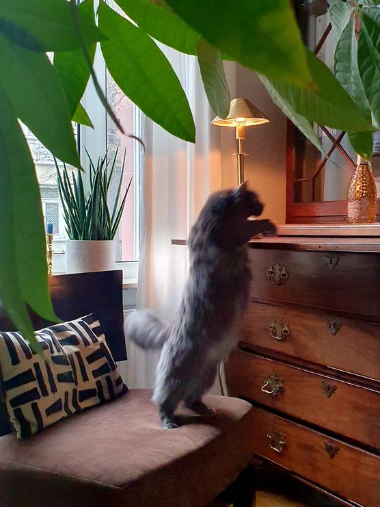 Entschuldigung vorab an alle Entschuldigung vorab an alle