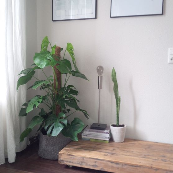 ein bisschen grün eben.. ein bisschen grün eben..