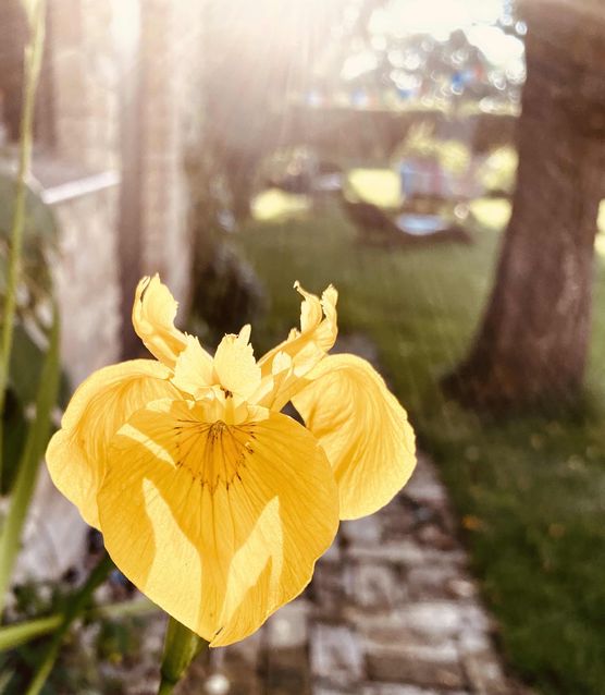 Bild von Mary_Na Bild von Mary_Na