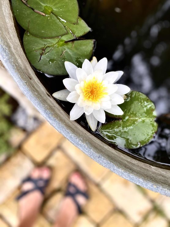 Bild von Mary_Na Bild von Mary_Na