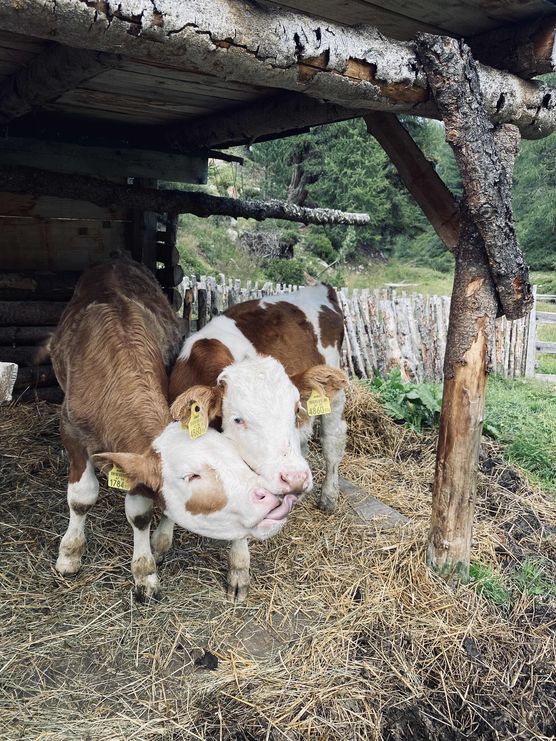 Bild von Mary_Na Bild von Mary_Na