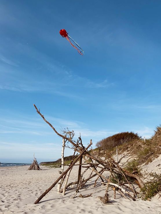 Bild von Mary_Na Bild von Mary_Na