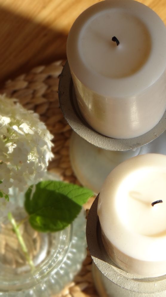 Ballhortensie Anabelle Ballhortensie Anabelle