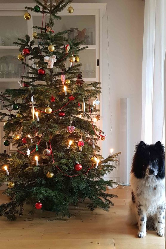 Bild von minisweet Bild von minisweet