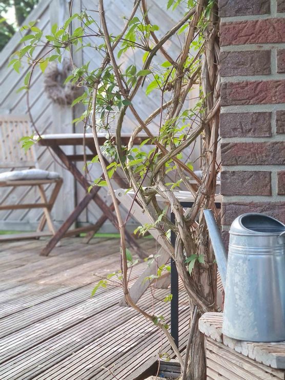 Bild von minisweet Bild von minisweet