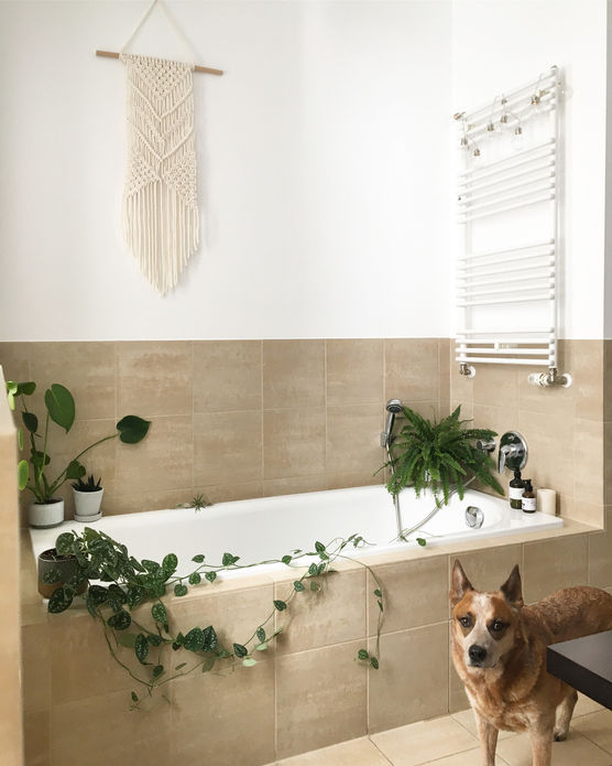 Gestern gab es Besuch Gestern gab es Besuch