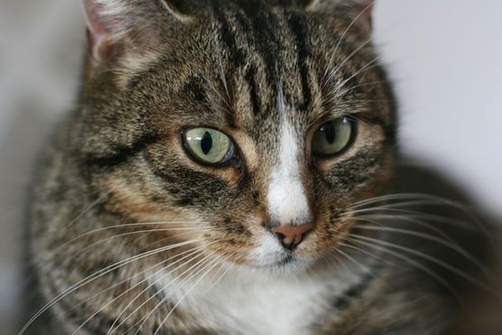 So wunderbar fotogen So wunderbar fotogen