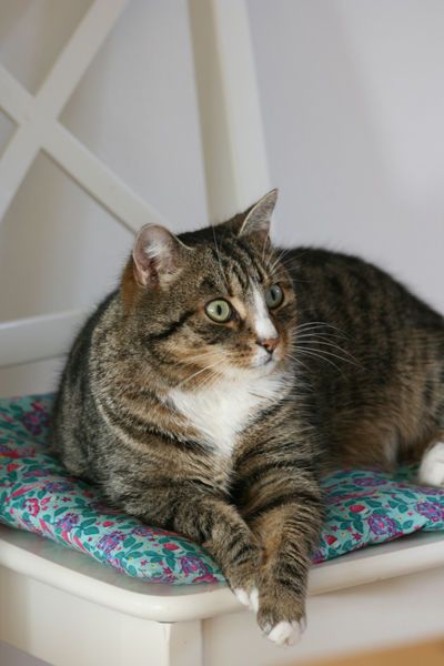 Gibt es auch was fuer mich... Gibt es auch was fuer mich...