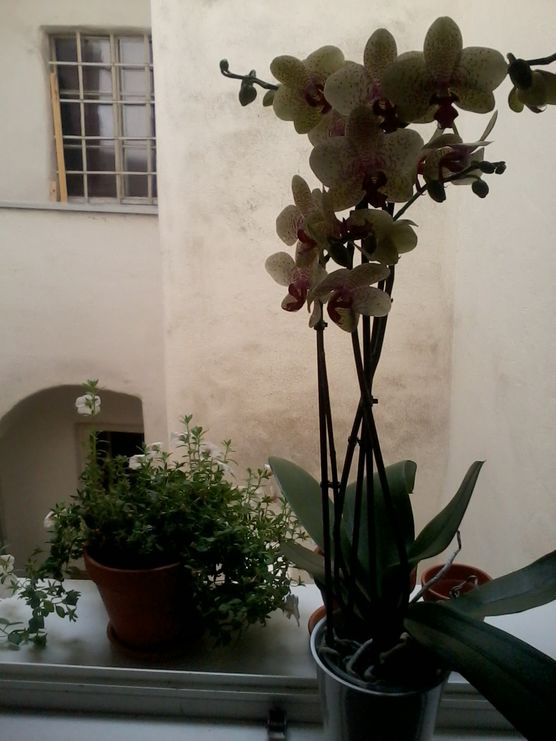 Ein interessanter Ausblick Ein interessanter Ausblick