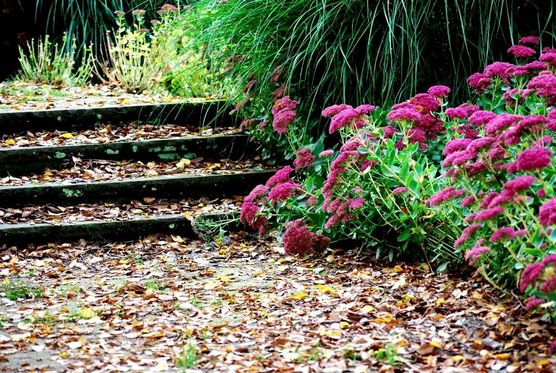 Ich hoffe, Ihr verkraftet Ich hoffe, Ihr verkraftet