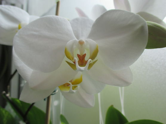 Bild von KarinK Bild von KarinK