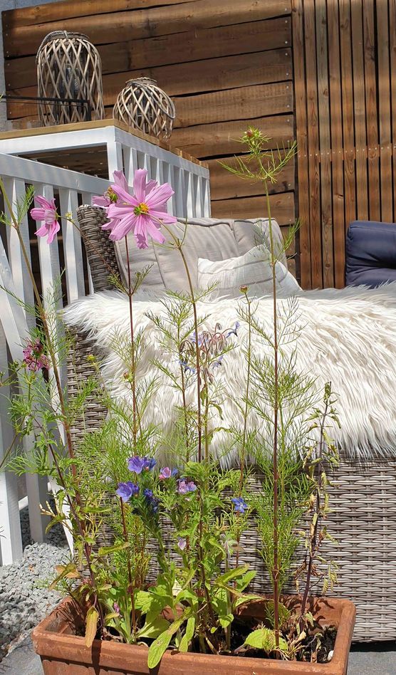 Bild von schönimpott Bild von schönimpott