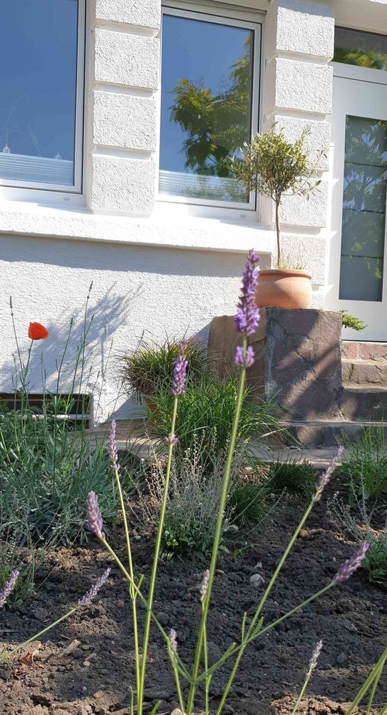 Bild von schönimpott Bild von schönimpott