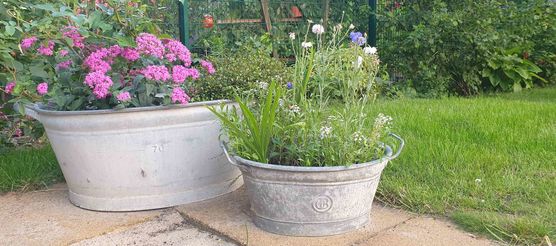 Bild von schönimpott Bild von schönimpott