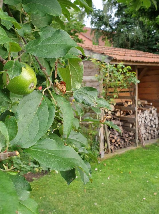 Bild von schönimpott Bild von schönimpott