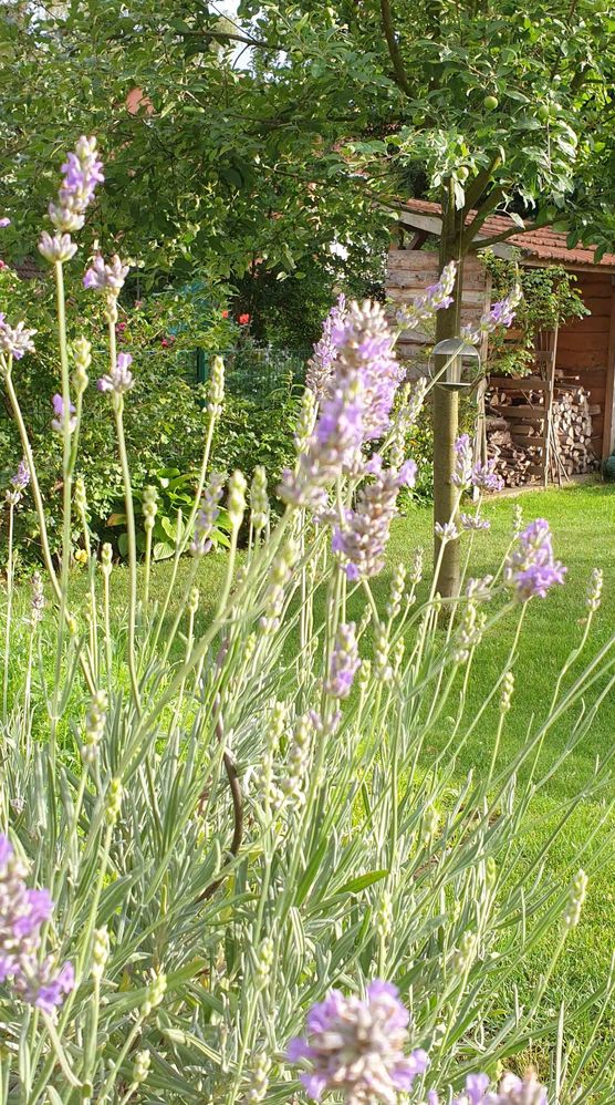 Bild von schönimpott Bild von schönimpott